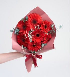 7 kırmızı gerbera buketi
